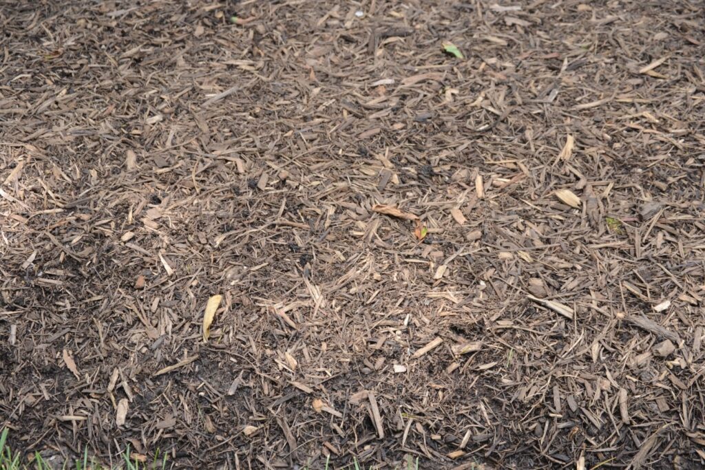 Mulch