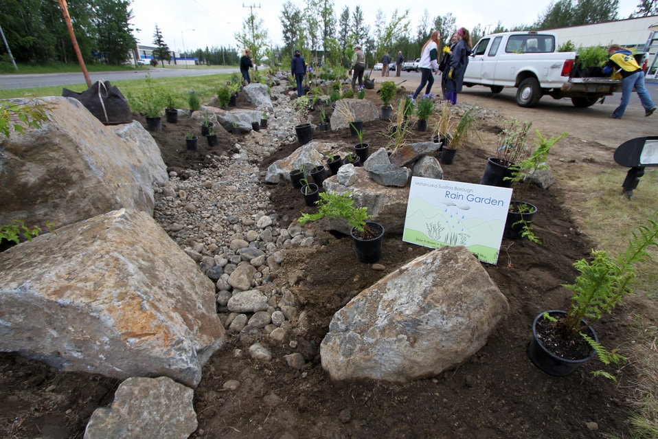 rain garden