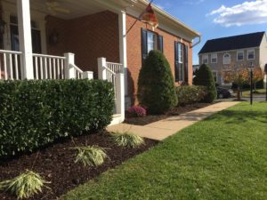 Landscaping Photo 34