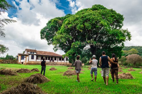 People around a tree