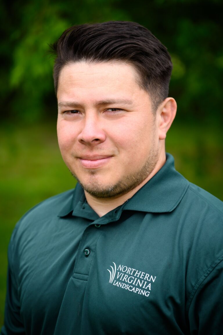 Northern Virginia Landscaping photo 5